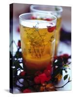 Ginger Tea with Thyme and Red Berries-Dorota & Bogdan Bialy-Stretched Canvas