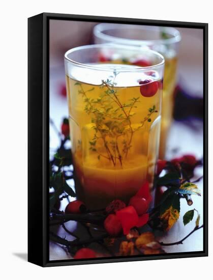 Ginger Tea with Thyme and Red Berries-Dorota & Bogdan Bialy-Framed Stretched Canvas