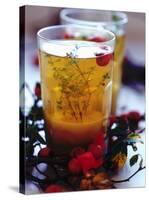 Ginger Tea with Thyme and Red Berries-Dorota & Bogdan Bialy-Stretched Canvas