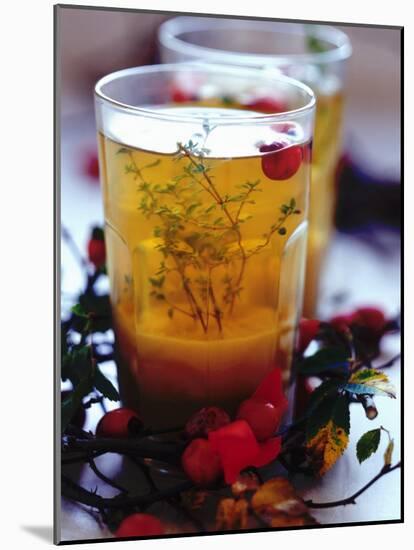 Ginger Tea with Thyme and Red Berries-Dorota & Bogdan Bialy-Mounted Photographic Print