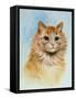 Ginger Tom-Louis Wain-Framed Stretched Canvas