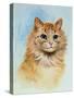 Ginger Tom-Louis Wain-Stretched Canvas