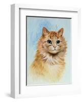 Ginger Tom-Louis Wain-Framed Giclee Print