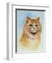 Ginger Tom-Louis Wain-Framed Giclee Print