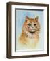 Ginger Tom-Louis Wain-Framed Premium Giclee Print