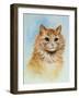 Ginger Tom-Louis Wain-Framed Giclee Print