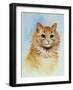 Ginger Tom-Louis Wain-Framed Giclee Print