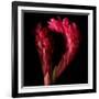 Ginger-Magda Indigo-Framed Photographic Print