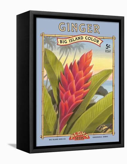 Ginger-Kerne Erickson-Framed Stretched Canvas