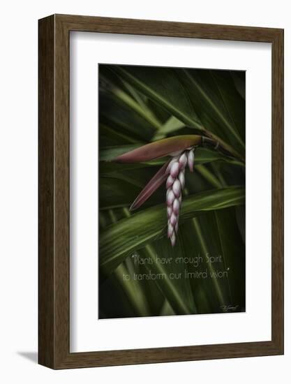 Ginger-Barbara Simmons-Framed Photographic Print