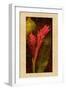 Ginger-John Seba-Framed Art Print