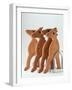 Gingerbread Creatures (Lucy Casson) 2003-Norman Hollands-Framed Photographic Print