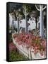 Gingerbread House Details, Oak Bluffs, Martha's Vineyard, Massachusetts, USA-Walter Bibikow-Framed Stretched Canvas