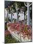 Gingerbread House Details, Oak Bluffs, Martha's Vineyard, Massachusetts, USA-Walter Bibikow-Mounted Photographic Print