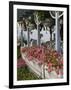 Gingerbread House Details, Oak Bluffs, Martha's Vineyard, Massachusetts, USA-Walter Bibikow-Framed Photographic Print