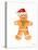 Gingerbread Man I-Lanie Loreth-Stretched Canvas