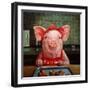 Gingerbread Pigs-Lucia Heffernan-Framed Art Print