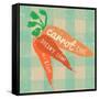 Gingham Carrot-Lola Bryant-Framed Stretched Canvas