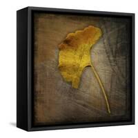 Gingko 1-John W Golden-Framed Stretched Canvas