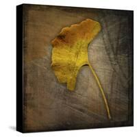 Gingko 1-John W Golden-Stretched Canvas