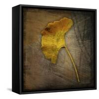Gingko 1-John W Golden-Framed Stretched Canvas