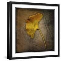 Gingko 1-John W Golden-Framed Premium Giclee Print