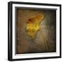 Gingko 1-John W Golden-Framed Premium Giclee Print