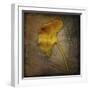 Gingko 1-John W Golden-Framed Premium Giclee Print