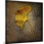 Gingko 1-John W Golden-Mounted Premium Giclee Print