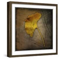 Gingko 1-John W Golden-Framed Giclee Print