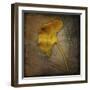 Gingko 1-John W Golden-Framed Giclee Print