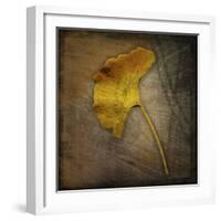 Gingko 1-John W Golden-Framed Giclee Print