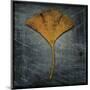 Gingko 2-John W^ Golden-Mounted Art Print