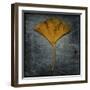 Gingko 2-John W Golden-Framed Giclee Print