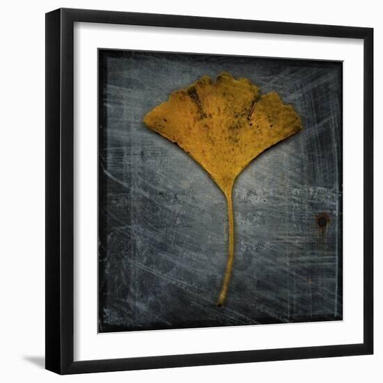 Gingko 2-John W Golden-Framed Giclee Print