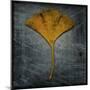 Gingko 2-John W Golden-Mounted Giclee Print