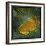 Gingko 3-John W Golden-Framed Giclee Print