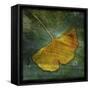 Gingko 3-John W Golden-Framed Stretched Canvas