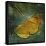 Gingko 3-John W Golden-Stretched Canvas