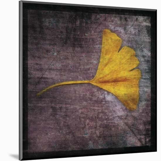 Gingko 4-John W^ Golden-Mounted Art Print