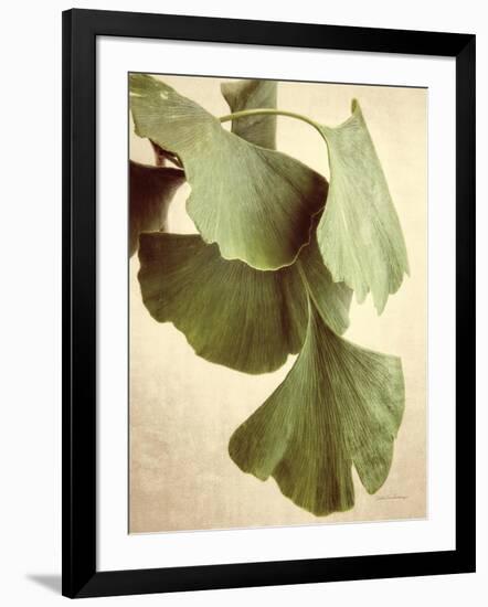 Gingko Color-Debra Van Swearingen-Framed Art Print