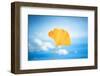 Gingko in the Sky-Philippe Saint-Laudy-Framed Photographic Print