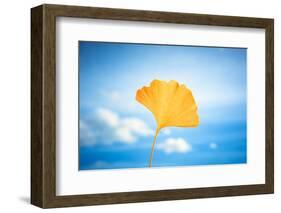 Gingko in the Sky-Philippe Saint-Laudy-Framed Photographic Print