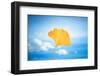 Gingko in the Sky-Philippe Saint-Laudy-Framed Photographic Print