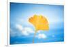 Gingko in the Sky-Philippe Saint-Laudy-Framed Photographic Print