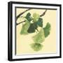 Gingko Leaves I Dark-Chris Paschke-Framed Art Print