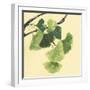 Gingko Leaves I Dark-Chris Paschke-Framed Art Print