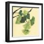 Gingko Leaves I Dark-Chris Paschke-Framed Art Print