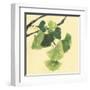 Gingko Leaves I Dark-Chris Paschke-Framed Art Print