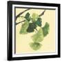 Gingko Leaves I Dark-Chris Paschke-Framed Art Print